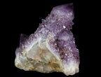Dark Cactus Quartz (Amethyst) Crystal Cluster - South Africa #64239-2